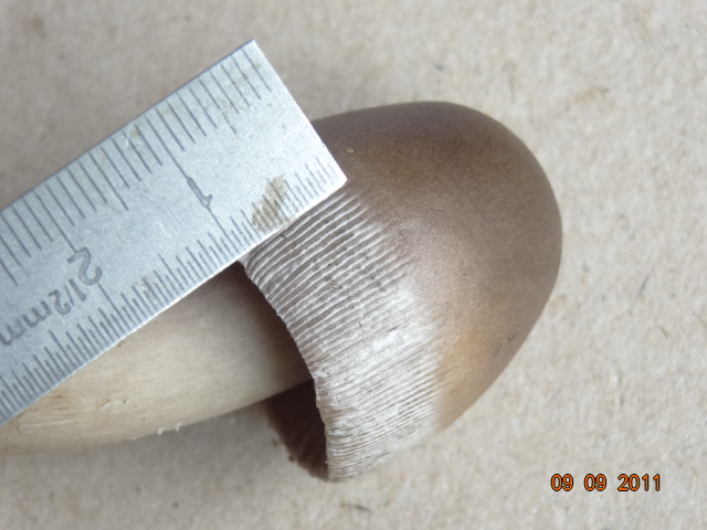 Novit� per .... me : QUIZZZZ